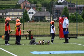 Fédération Nationale des Pompiers